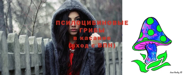бошки Алексин