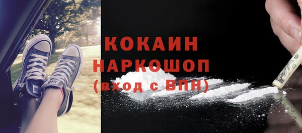 бошки Алексин