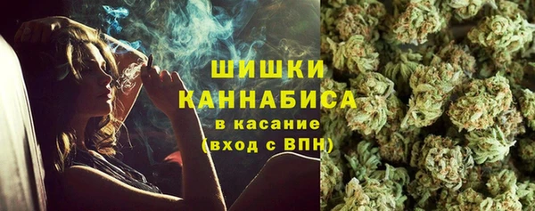 бошки Алексин