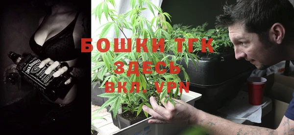 бошки Алексин