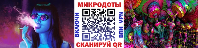 Галлюциногенные грибы Cubensis  как найти   Слюдянка 